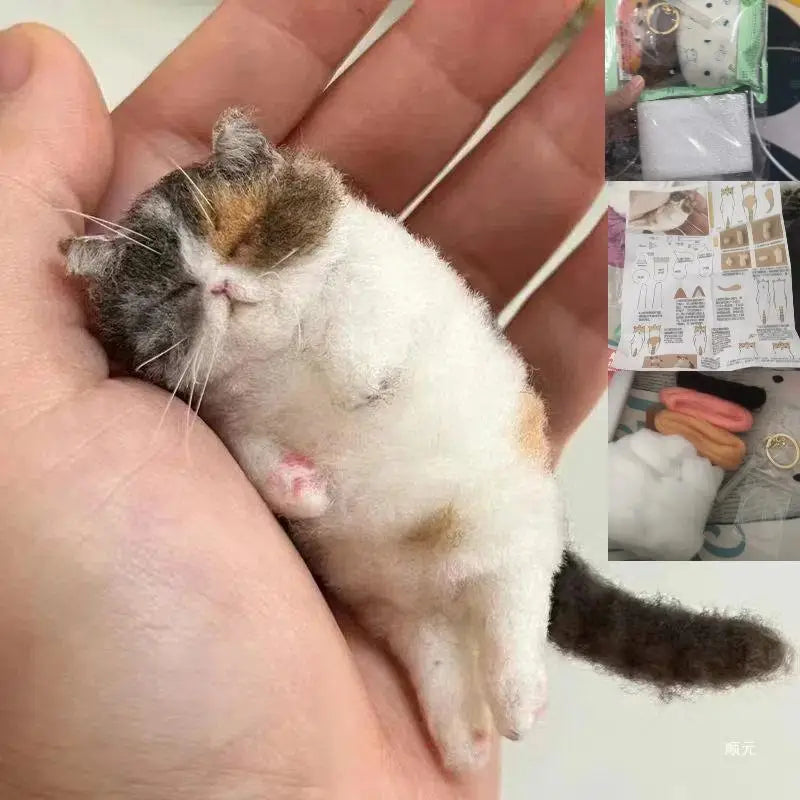 Sheep Felt Poke Cat Handmade Material Bag For Beginner Diy Wool Needle Felting Simulation Creative Animal Gifts